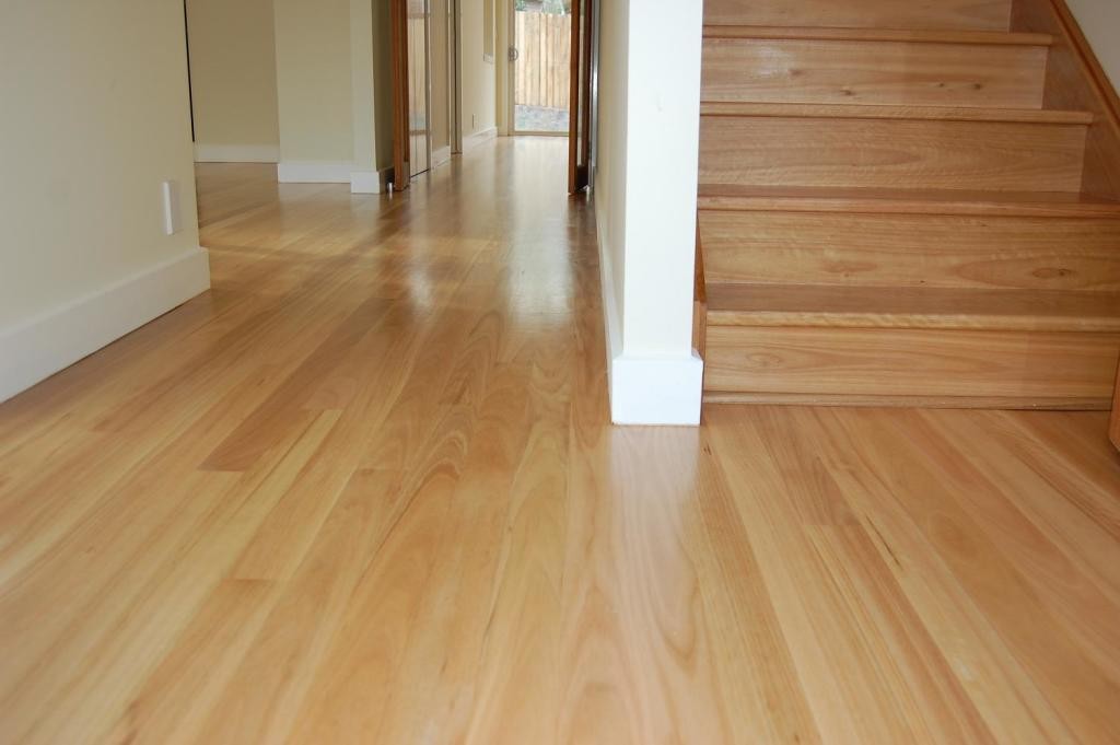 blackbutt timber floor throughout