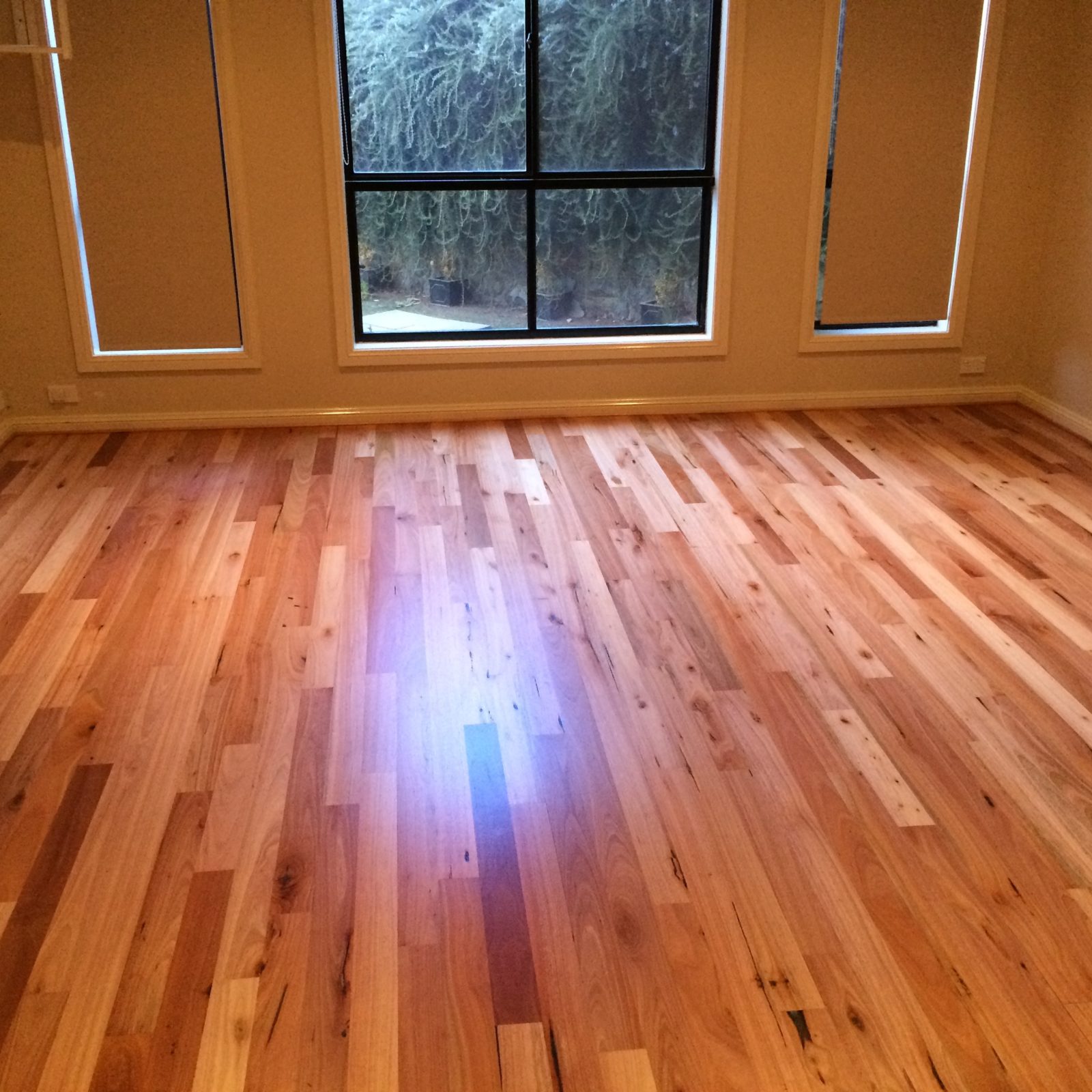 pine floor sand stain and polish