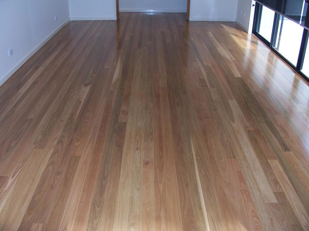 spotted gum timber floor